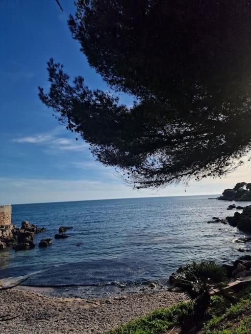 T2 Neuf, Parking Prive,Acces Mer Bandol Dış mekan fotoğraf